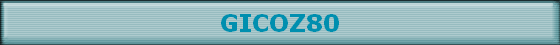 GICOZ80